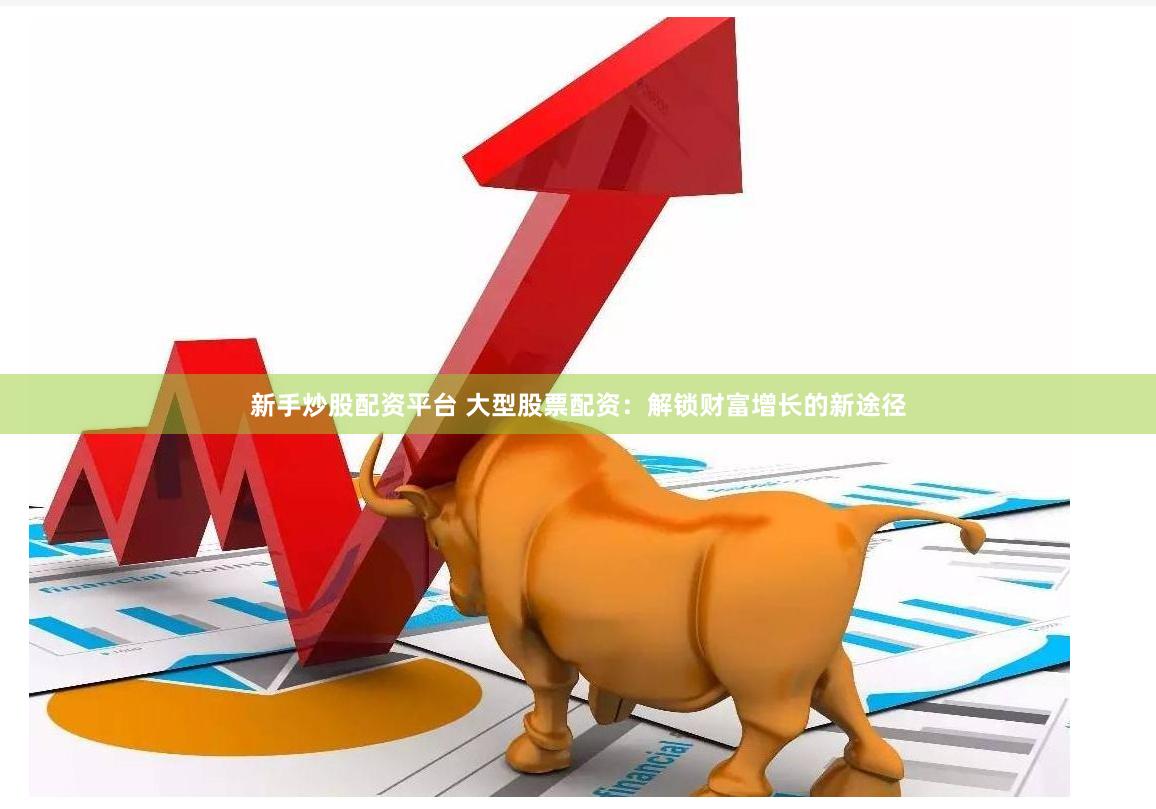 新手炒股配资平台 大型股票配资：解锁财富增长的新途径